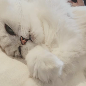 アコ14歳おめでとう！の画像