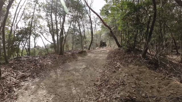 マウンテンバイクライドに行って来ましたの記事動画