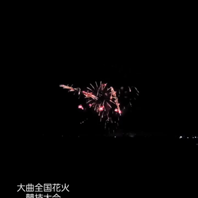 【大曲全国花火競技大会】の画像
