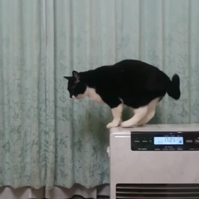 動画ざんまいの画像