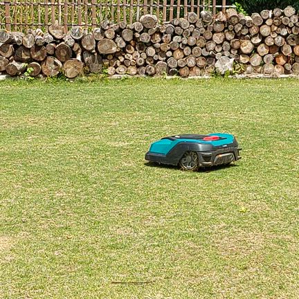 20250424サニーサイドキャンプ、スタジオの記事動画