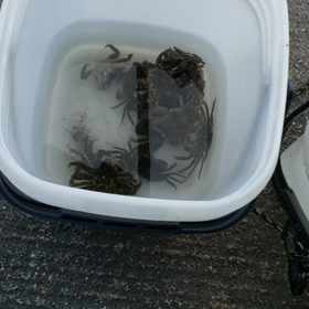 釣り‼️の画像