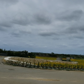 2020/04/08の画像