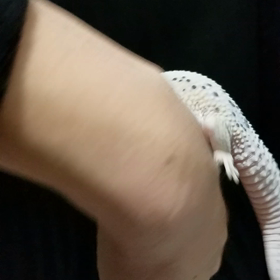 真っ白の画像