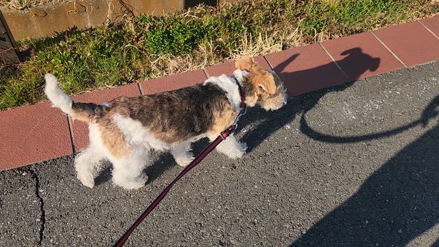 約束。の記事動画