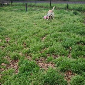 双方に伝わるシンパシーの画像