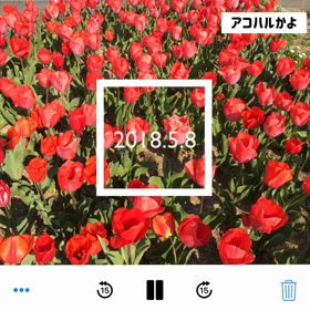 糸の画像