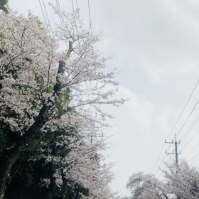 3月も終わりですねの画像