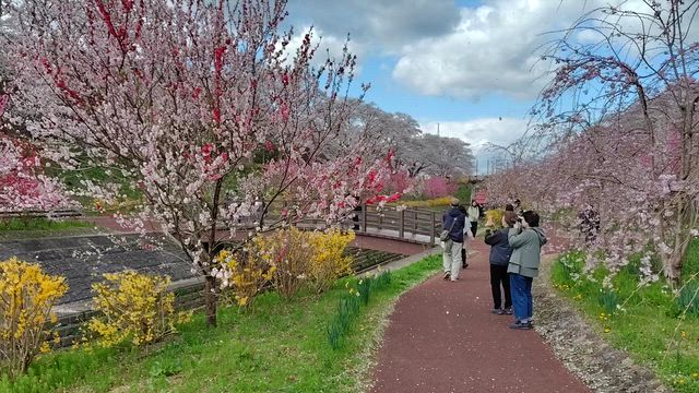 大河原から船岡まで散歩してきた2026(^^♪＋角田の記事動画