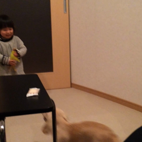 るいちゃんの画像