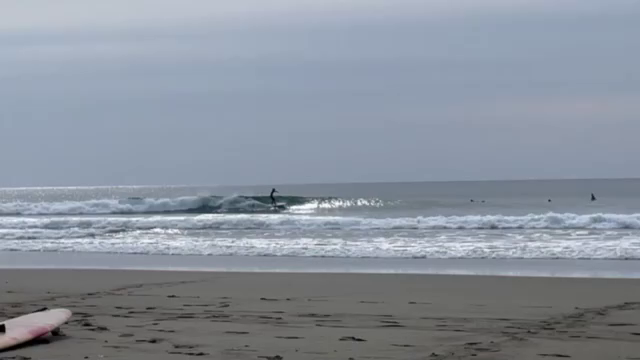 ミッドレングスの勧めの記事動画