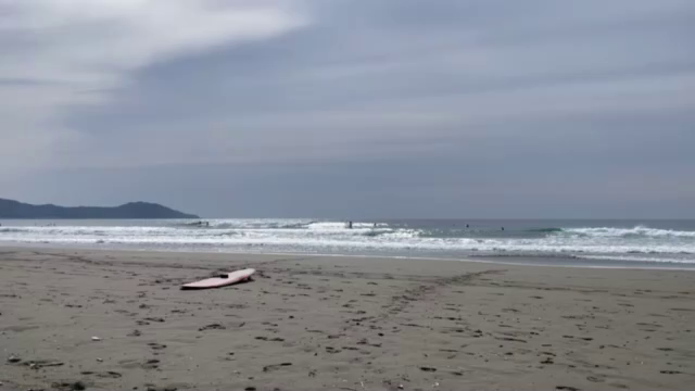 昨日の定休日の記事動画