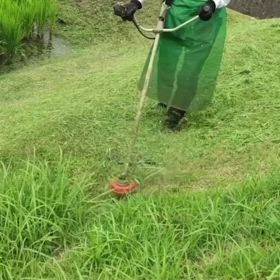 パワー！の画像