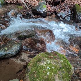 初めての沢登りの画像