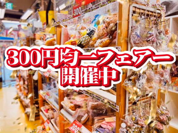 300円均一フェアー開催中の記事動画