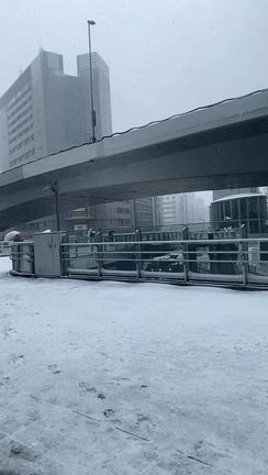 雪の渋谷の記事動画
