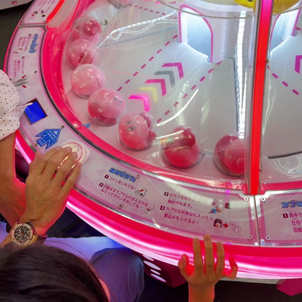 バテ気味ながらも夏を満喫中の記事動画