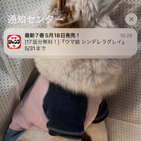 破壊されたいシンガポールミャの画像