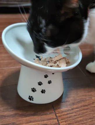 完全にマイブーム♡の記事動画