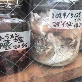 2024/05/26の画像