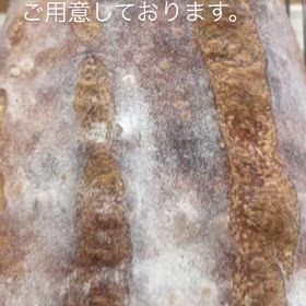 2024/05/11の画像