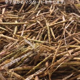 2024/05/25の画像