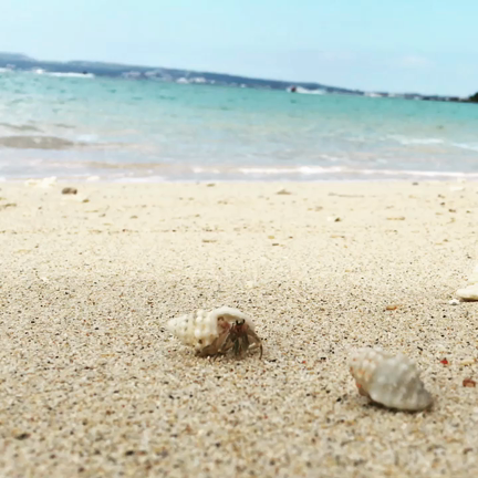 海は広いな大きいなの記事動画