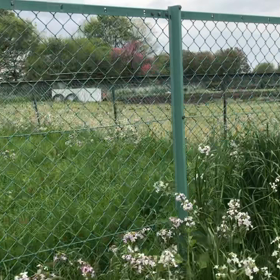 17 警戒心0のムクドリの画像