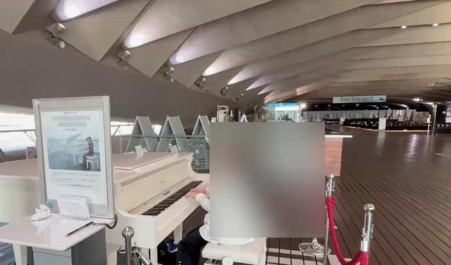 ストピで弾いてみた！の記事動画