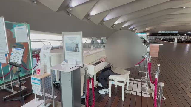 ストピで弾いてみた！の記事動画