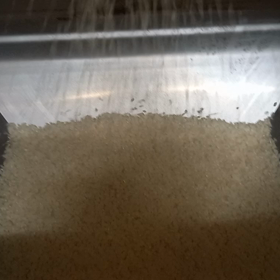精米の画像