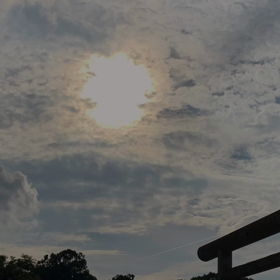 ナ ゴ シの画像
