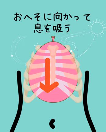 腹式呼吸がわかりませんの記事動画