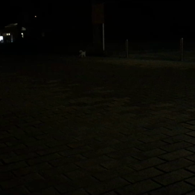 今日はの画像