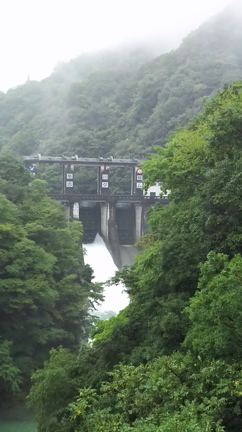 雨の休日の記事動画