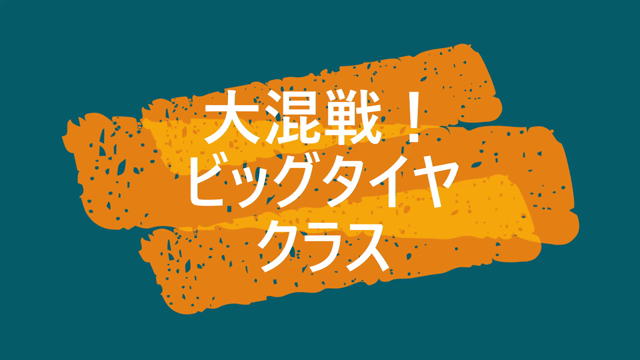 レ～スの動画ですの記事動画