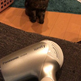 ドライアーの画像