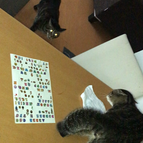 いったいどしたのっ！？の画像