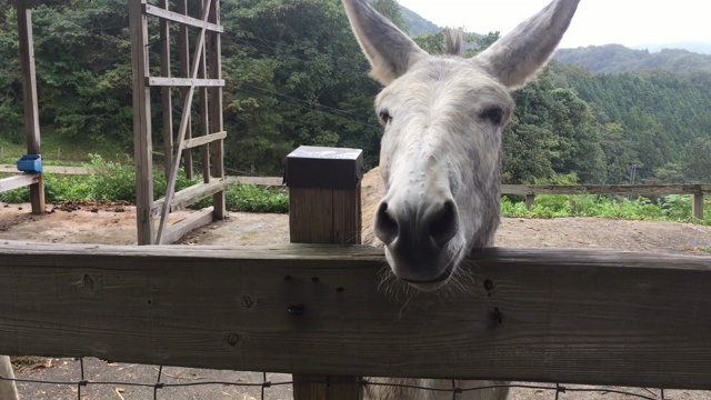島根のはたらきもんの記事動画
