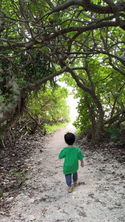 子連れで石垣島の記事動画