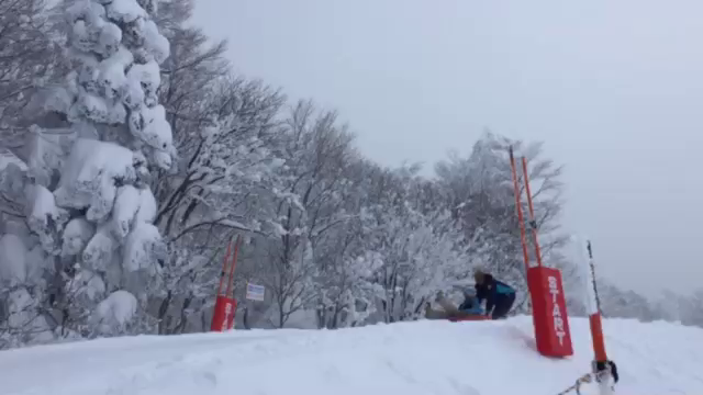 チューブスライダーありますよΨ(￣∇￣)Ψの記事動画