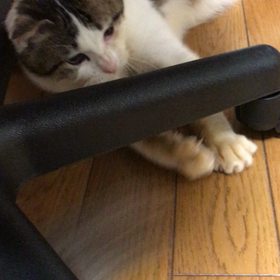 海くん、遊ぼうよーの画像