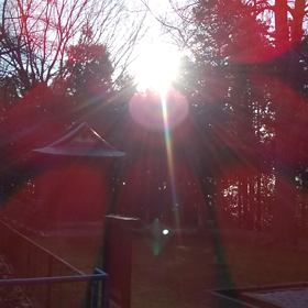 朝陽の光の画像