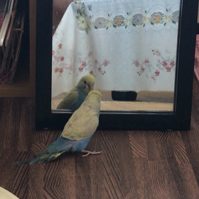 朝も早よから！の画像