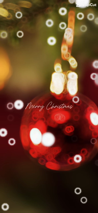 Merry Xmas  クリスマスプレゼントの記事動画
