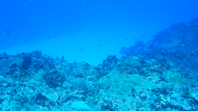 波照間島への旅、3日目の記事動画