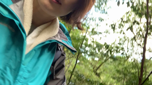 屋久島リベンジ旅✈️白谷雲水峡〜太古岩登頂〜vol3の記事動画