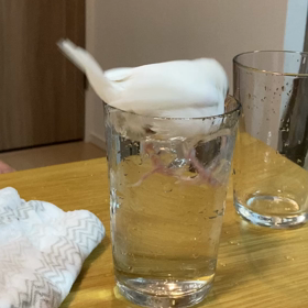 水浴びの画像