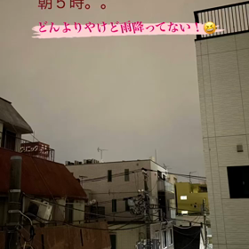 朝、、なんとか起きれたよー！の画像