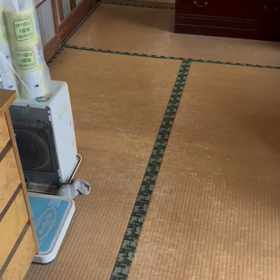 愛猫の画像